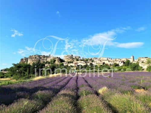 Mooi dorpshuis in Saignon met terras